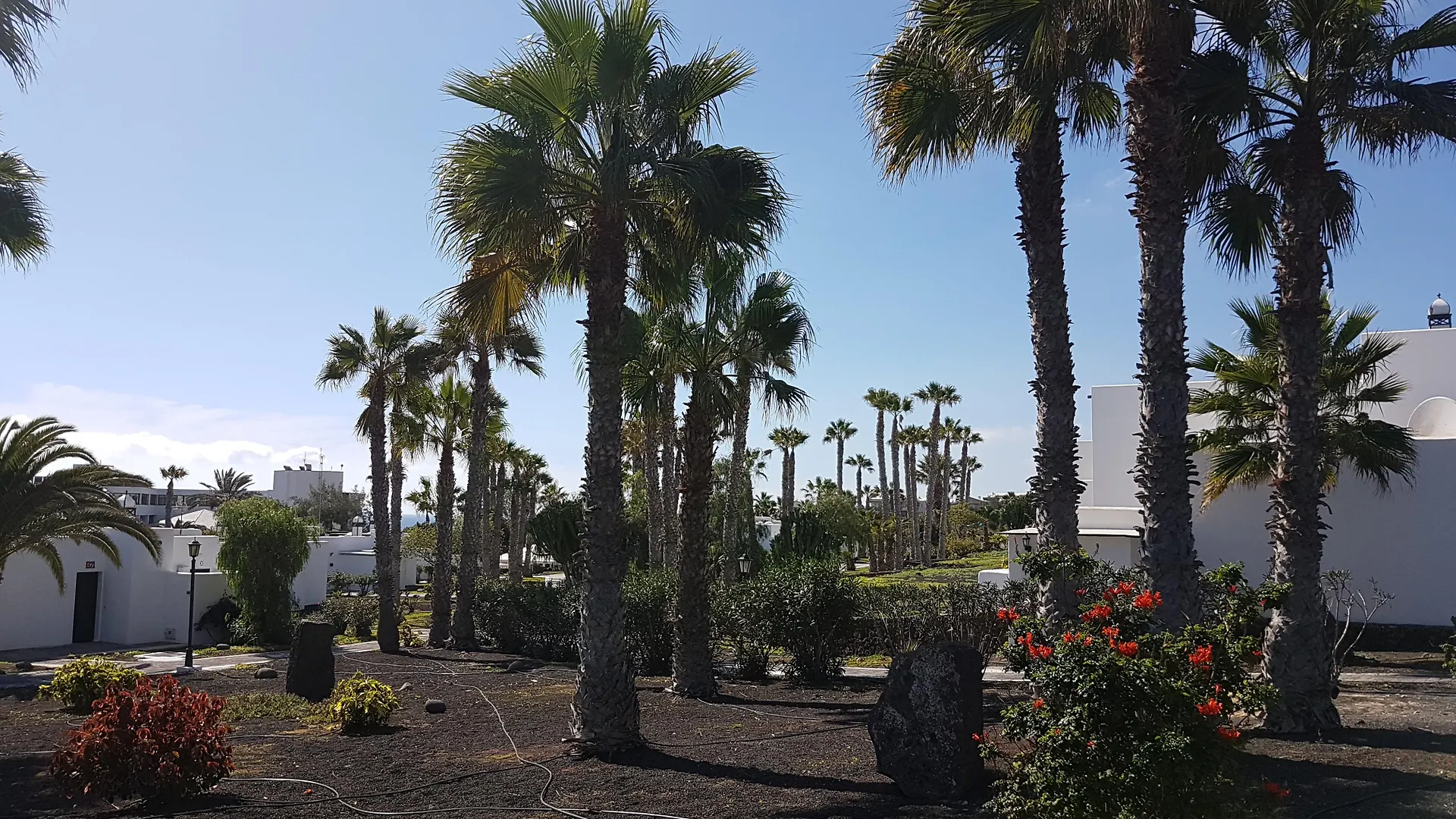 Palmeras Garden Playa Blanca  0*, Playa Blanca (Lanzarote) Spain